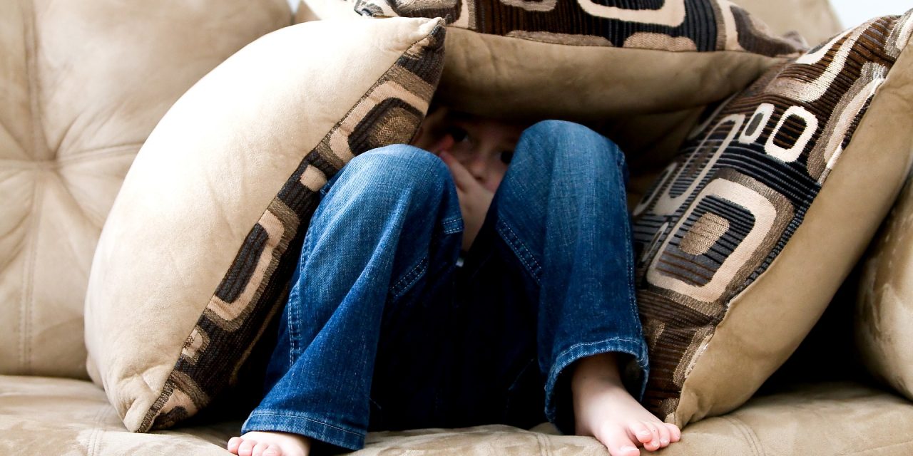 La loi contre les VEO – demain, une nouvelle ère ?