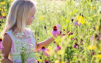 Comment se protéger des perturbateurs endocriniens ?