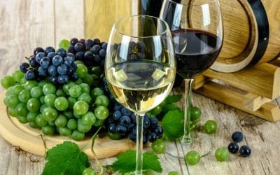 Vins bio, biodynamiques ou naturels ?